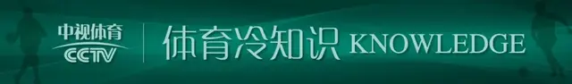 2024年11月 第342页