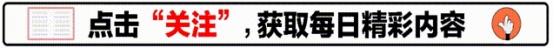 2024年11月5日 第25页